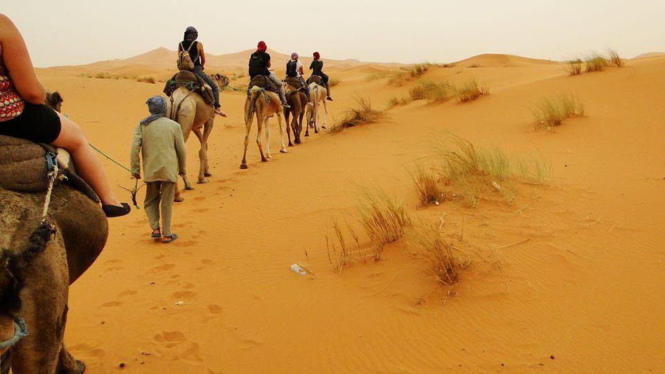Tofu Hotel & Safari Jaisalmer Dış mekan fotoğraf
